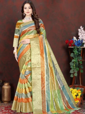 Paridhan Designer Sari