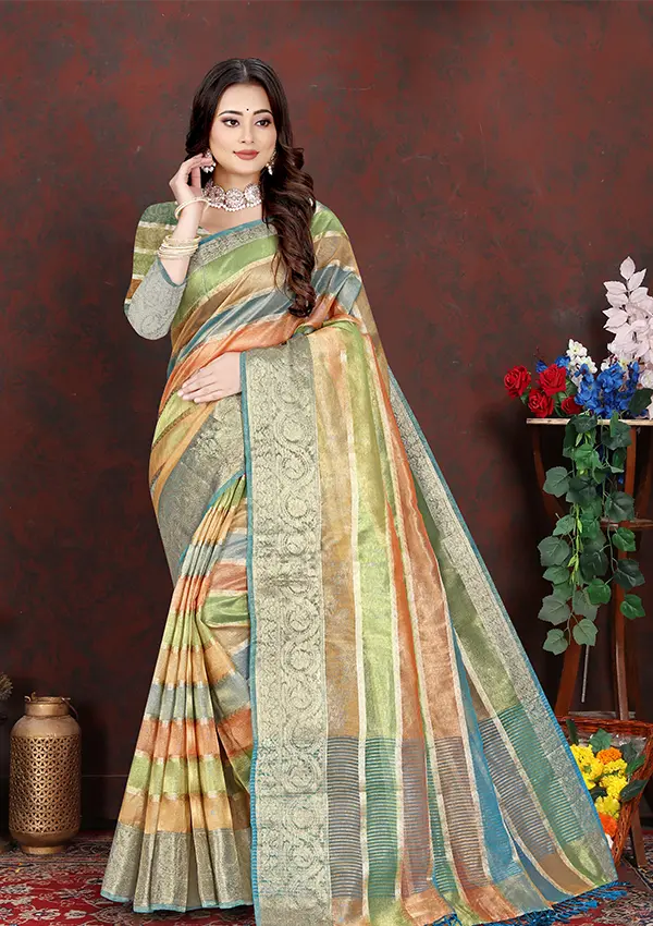 Paridhan Designer Sari