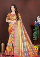 Paridhan Designer Sari