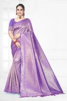 Rimzim Collection Sari