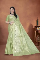 Silver Pari Sari