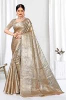 Bridel Rich Designer Sari